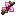 Ветвь вишни