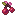 Вишня